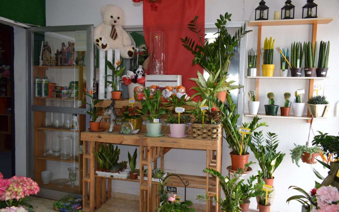 Floristería del Carmen