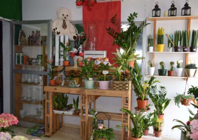 Floristería del Carmen